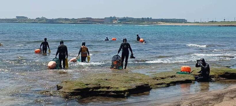 Jeju: Private Tour with an English Guide and a Vehicle - Why Choose a Private Guided Tour in Jeju?