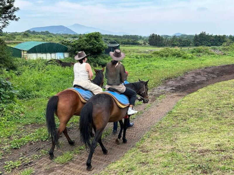 Jeju: Private Tour with an English Guide and a Vehicle - FAQ About the Jeju Private Tour