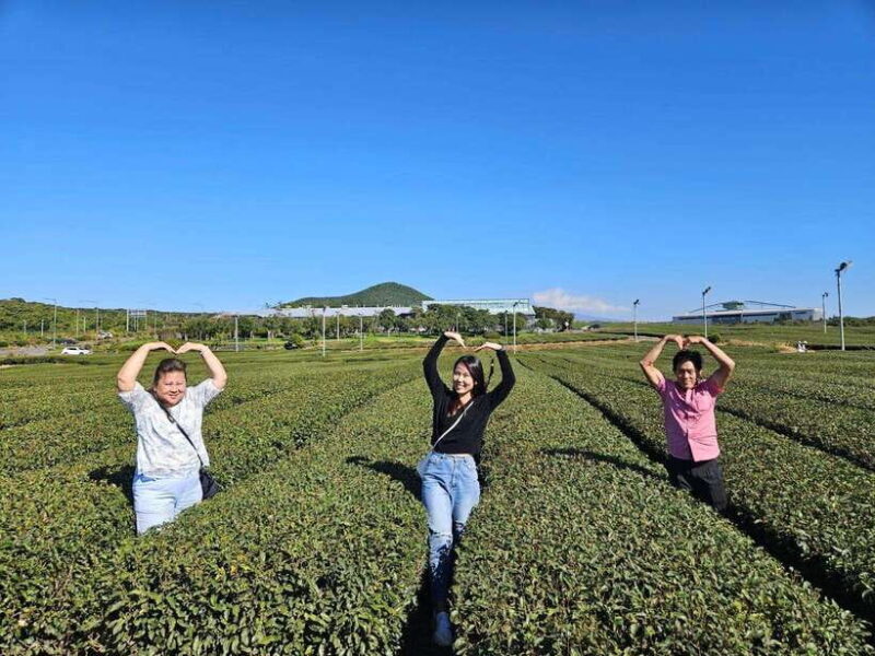 Jeju Unesco Customize Private Guided Tour with a Local Guide - The Sum Up