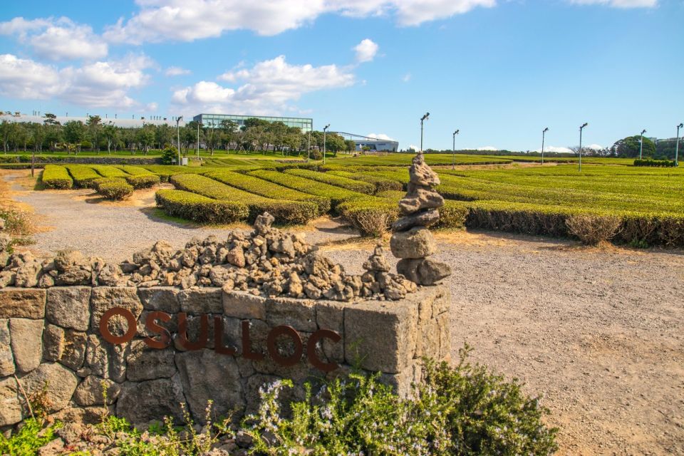 Jeju: Western and Southern Routes Sightseeing Day Tour - Key Points