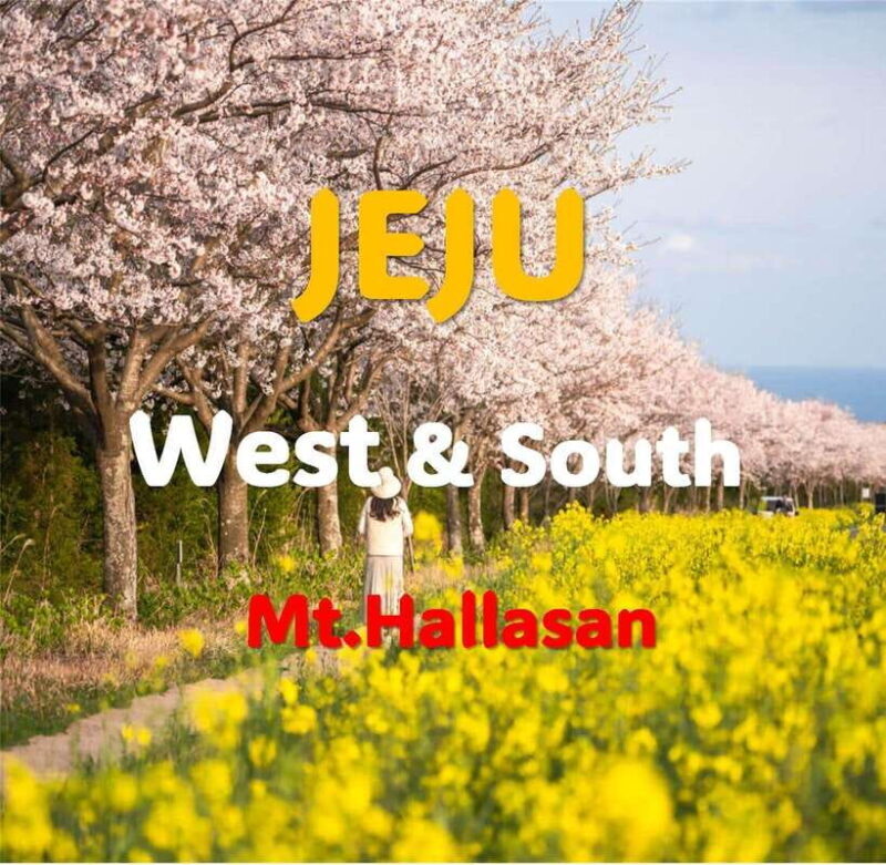 Jeju: Western and Southern Sightseeing Day Tour - The Sum Up: Who Will Love This Tour?