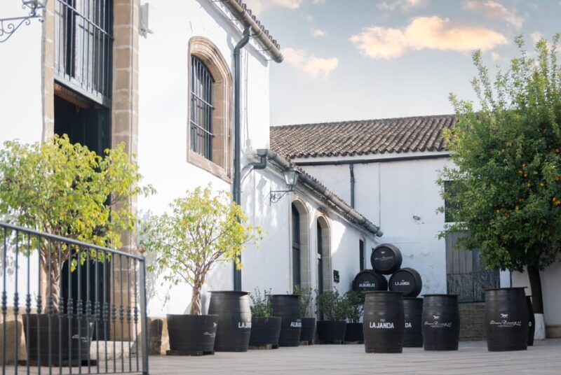 Jerez: Bodegas Álvaro Domecq Guided Tour with Wine Tasting - A Closer Look at the Tour Experience