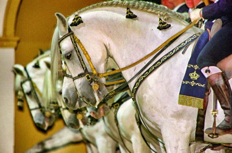 Jerez & Cadiz Day Trip From Seville - Tour Itinerary