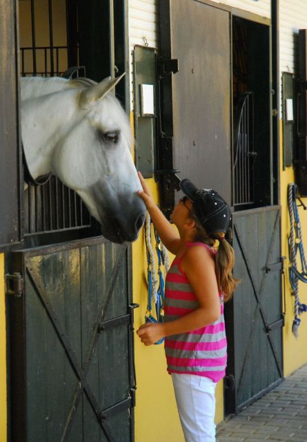 Jerez: Cartuja Stud Carthusian Horses Tour - Participant Information