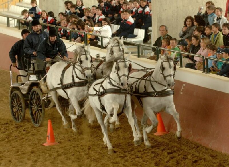 Jerez: Cartuja Stud Carthusian Horses Tour - Customer Reviews and Ratings