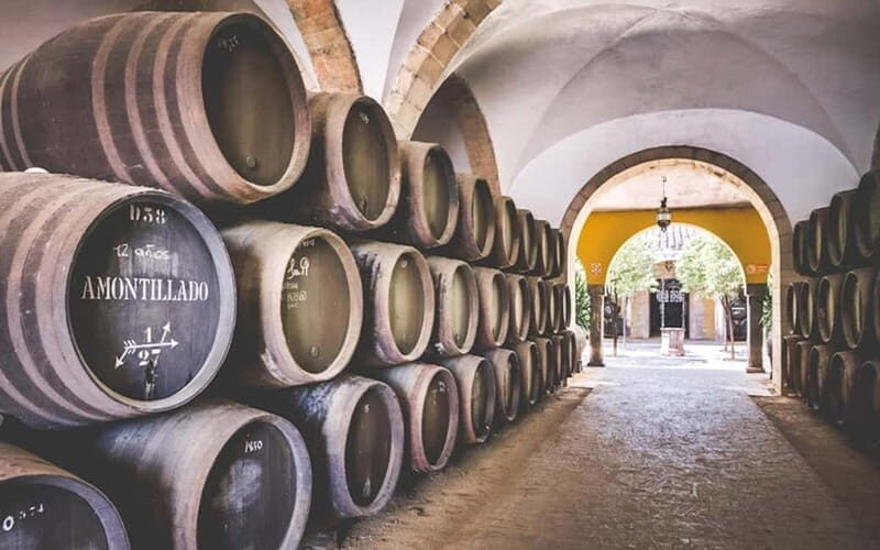 Jerez City Guided Tour and Winery Visit - Final Thoughts