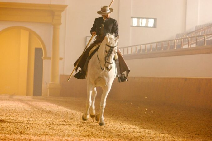 Jerez De La Frontera: How the Andalusian Horses Dance - Visitor Policies