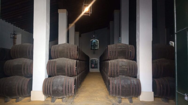 Jerez de la Frontera: Sherry Winery Tour with Tasting - Key Points