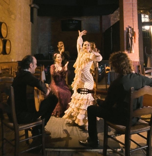 Jerez: Flamenco Show and Menú at Tablao Puro Arte 2025 - A Closer Look at the Flamenco Show Experience