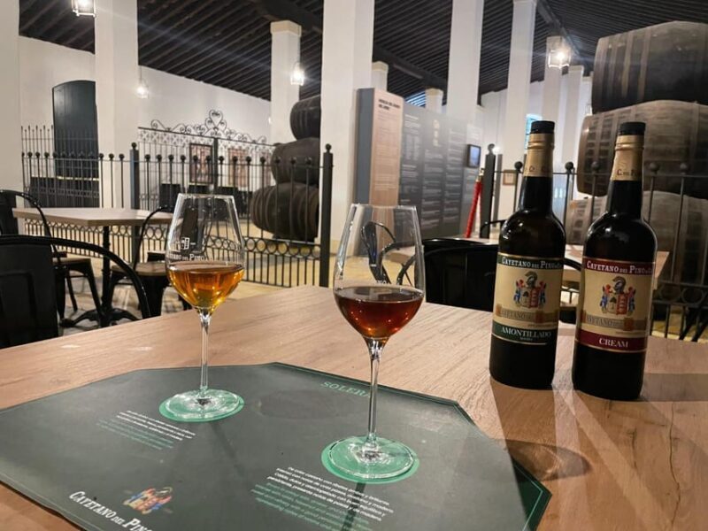 Jerez: Guided Winery Tour with Wine Tasting - An In-depth Look at the Experience