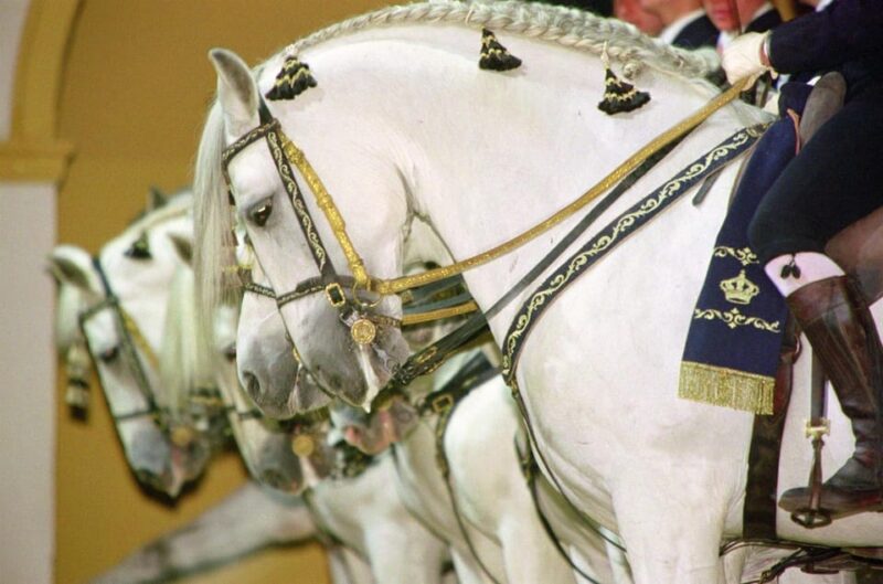 Jerez: Historic Center of Jerez and Horse Show - Frequently Asked Questions