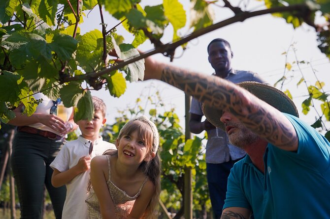 Jersey Premium Vineyard and Distillery Wine Tour and Tasting - Questions and Assistance