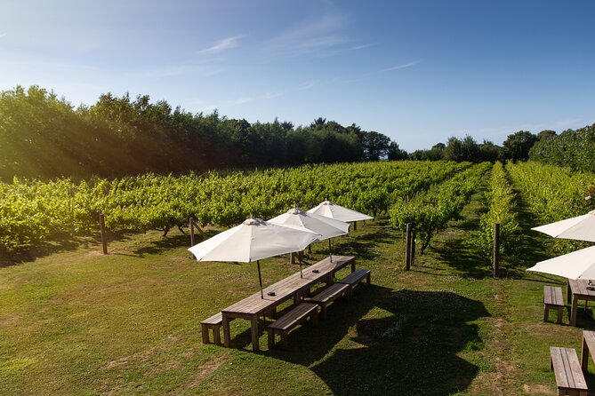 Jersey Premium Vineyard and Distillery Wine Tour and Tasting - Tour Schedule and Logistics