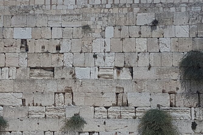 Jerusalem Private Full Day Tour - Customer Satisfaction