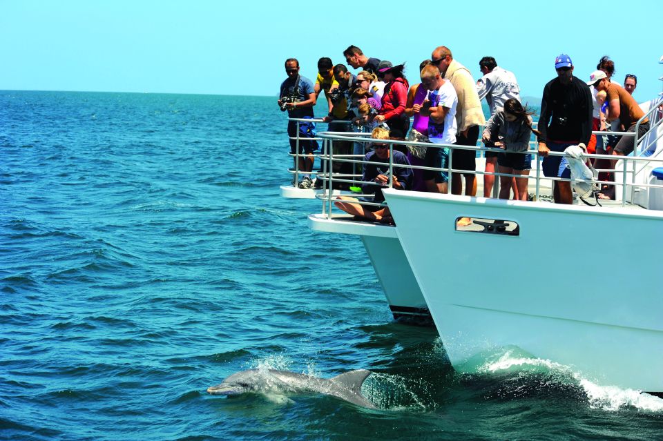 Jervis Bay: 1.5-Hour Dolphin Cruise - Key Points