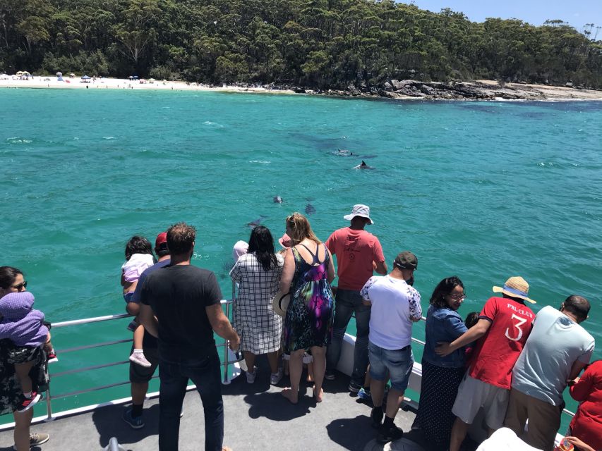 Jervis Bay: 1.5-Hour Dolphin Cruise - Experience Highlights