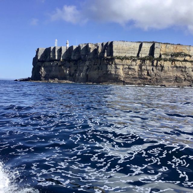 Jervis Bay: 2-Hour Cruise of Jervis Bay Passage - Pricing Information