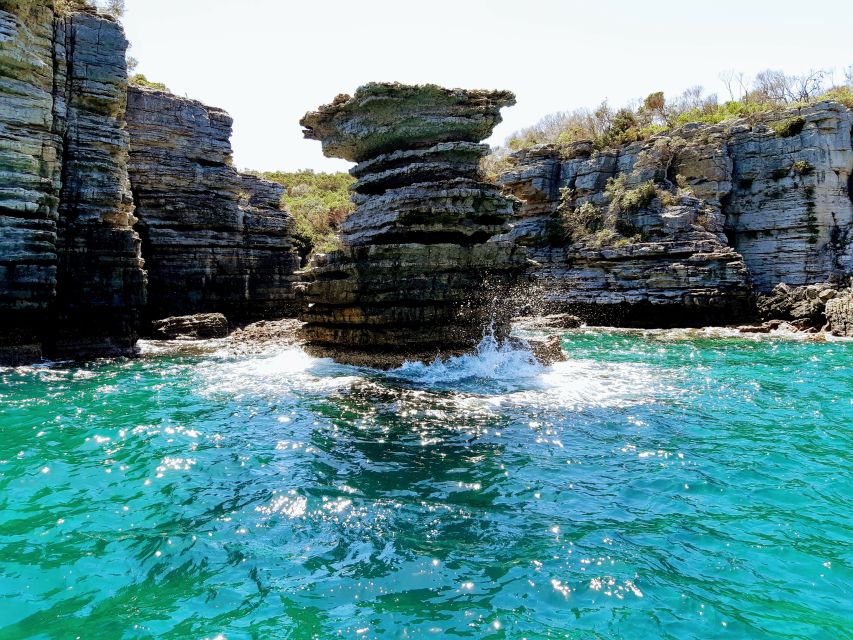 Jervis Bay: 2-Hour Cruise of Jervis Bay Passage - Inclusions and Services
