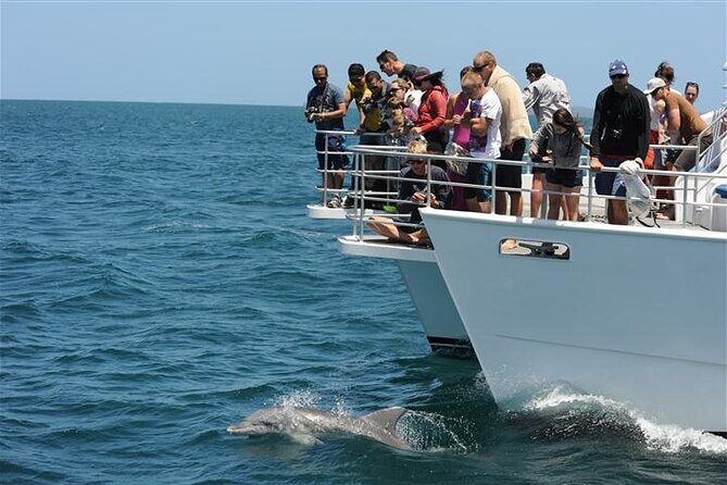 Jervis Bay Dolphin Cruise - An In-Depth Look at the Jervis Bay Dolphin Cruise Experience