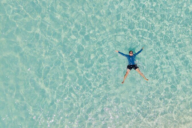 Jervis Bay Highlights Tour Small Group Experience Scenic Coast - Price and Value: Does It Add Up?