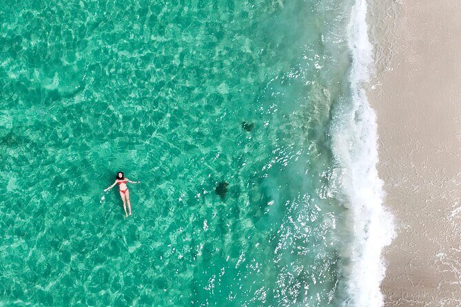 Jervis Bay Highlights Tour Small Group Experience Scenic Coast - The Sum Up: Is It Worth It?