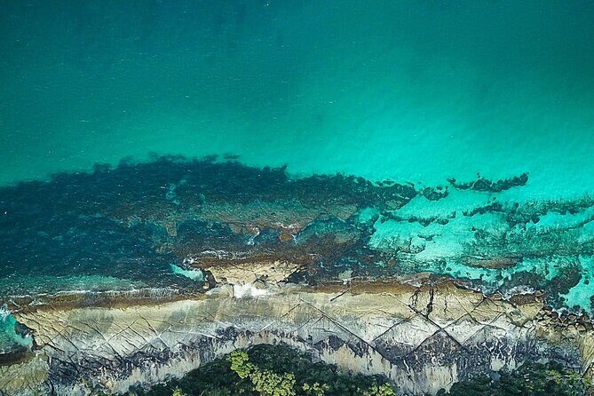 Jervis Bay, Kiama & Kangaroo Valley Day Trip From Sydney-PVT - What Makes This Tour Worth Considering?