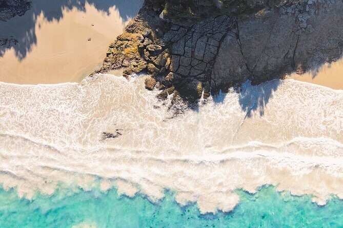 Jervis Bay, Kiama & Kangaroo Valley Day Trip From Sydney-PVT - Authentic Experiences & Traveler Feedback