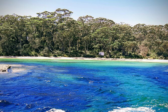 Jervis Bay Passage Tour - Final Thoughts: Is It Worth It?