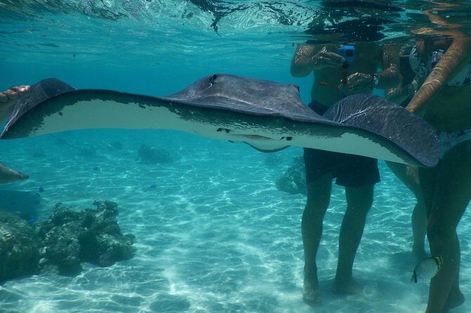 Jet-ski excursion 3 hrs Jet ski excursion to Moorea (single or two-seater) - Real Experiences Share the Truth