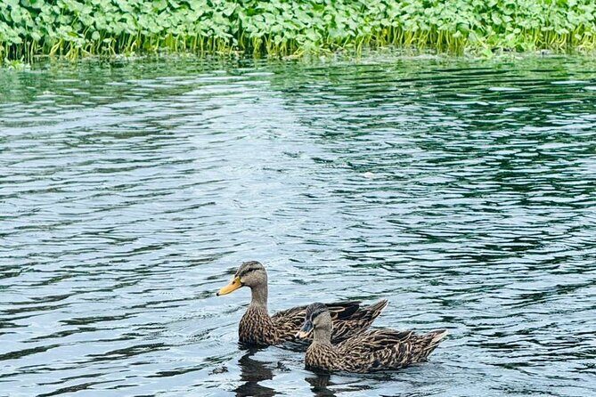 Jet Ski Tour at Lake Osborne Guided Adventure, West Palm Beach - Practical Details That Matter
