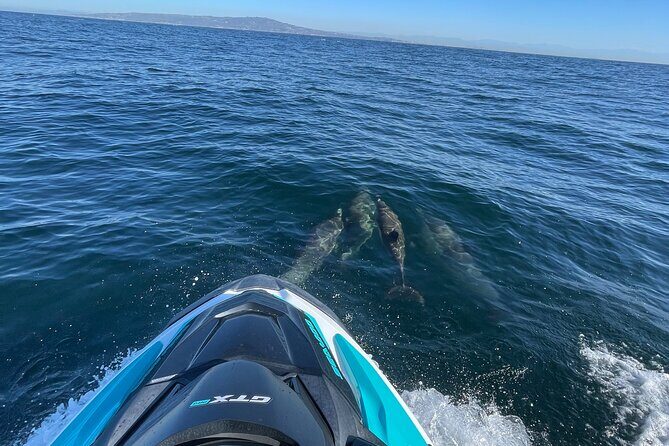 Jetski Adventure: Guided Trip from Long Beach to Catalina Island - Summing It Up: Who Will Love This Tour?