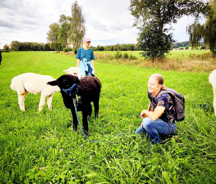 Jettingen-Scheppach: Exclusive Alpaca Couple Hike - Frequently Asked Questions