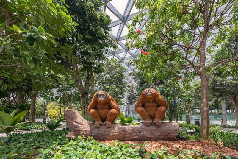 Jewel Changi Airport: Hedge Maze and Canopy Park Ticket - FAQ