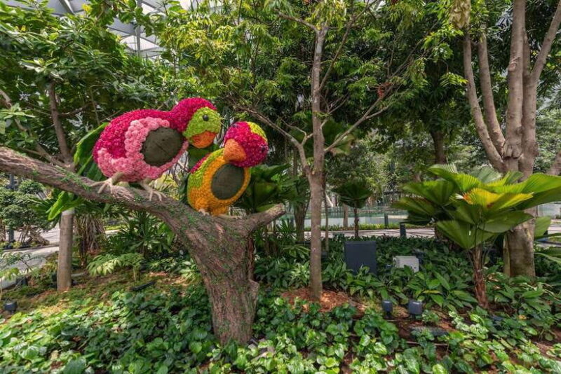 Jewel Changi Airport: Sky Nets Admission Ticket - Getting There and What to Expect