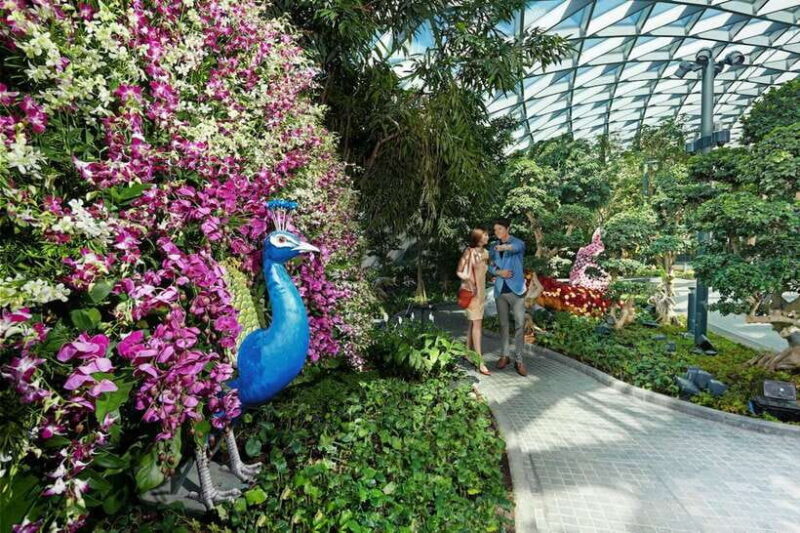 Jewel Changi Airport: Sky Nets Admission Ticket - Canopy Park: Gardens, Slides, and Play