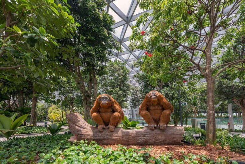 Jewel Changi Airport: Sky Nets Admission Ticket - Authentic Traveler Perspectives
