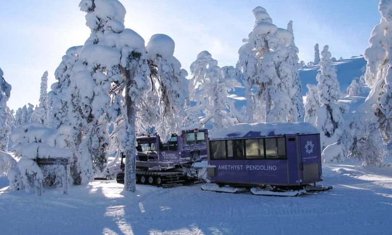 Jewels Of Lapland: Visit to Amethyst Mine in Luosto - Price and Value