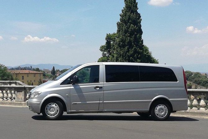 JFK Airport to NYC Private Transfer Review - Luggage and Accessibility Policies