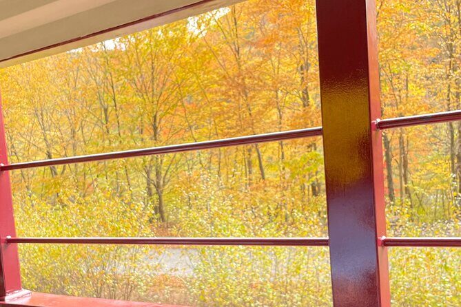 Jim Thorpe Swiss Town Day Tour from NY | Kids 50% Off - Practical Tips and Considerations