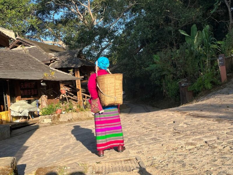 Jingmai Mountain (UNESCO) | Old Tea Forests and Dai Villages - Good To Know