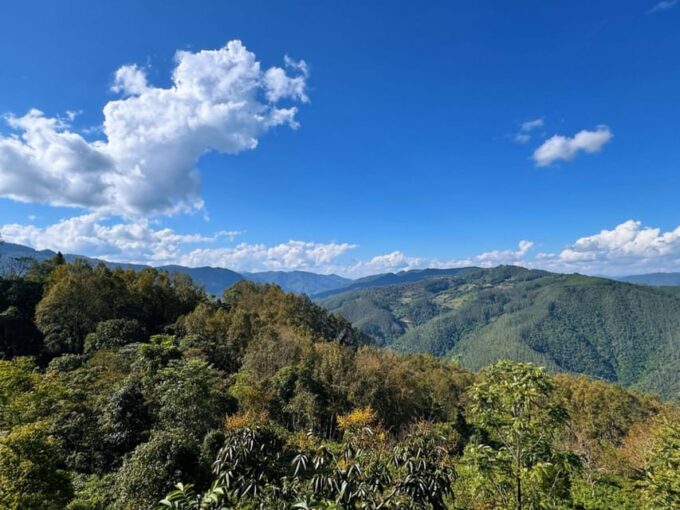 Jingmai Mountain (UNESCO) | Old Tea Forests and Dai Villages - Inclusions and Transportation