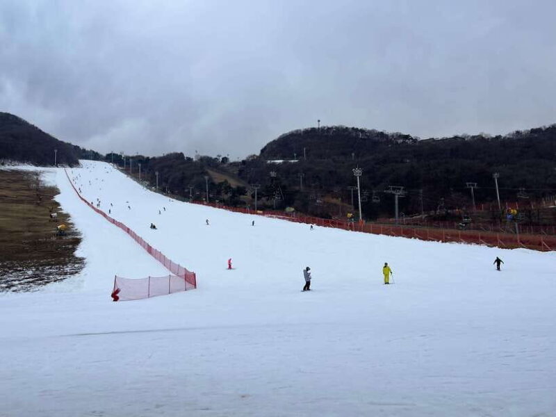 Jisan Forest Ski Resort One Day Tour - Key Points