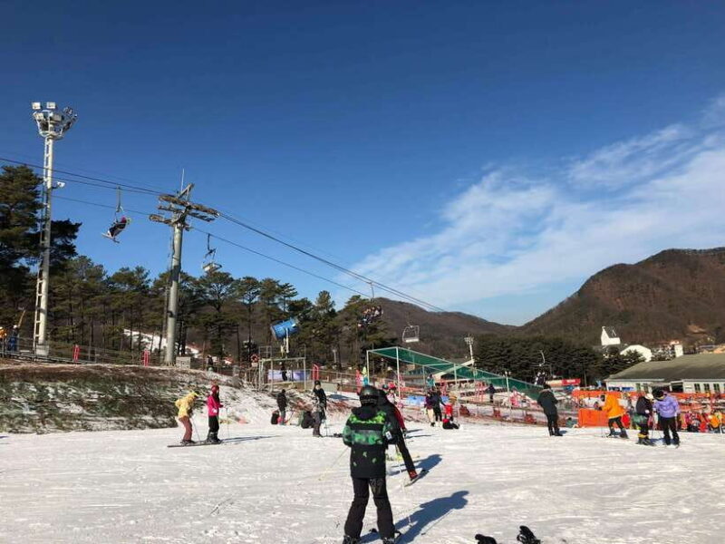 Jisan Forest Ski Resort One Day Tour - Understanding the Tour Options