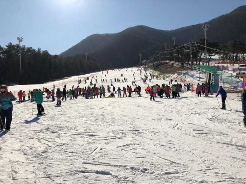 Jisan Forest Ski Resort One Day Tour - The Itinerary Breakdown