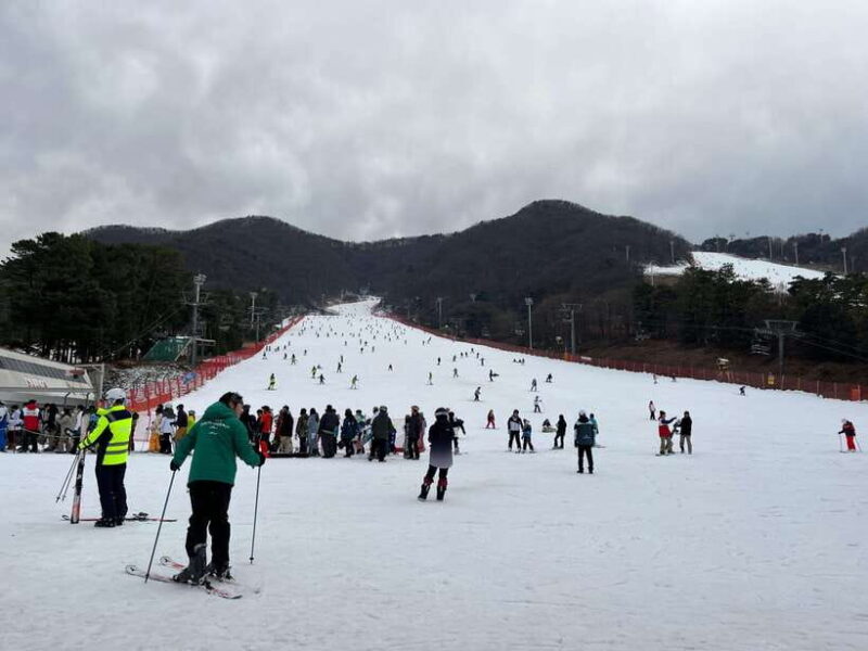 Jisan Forest Ski Resort One Day Tour - Who Should Consider This Tour?