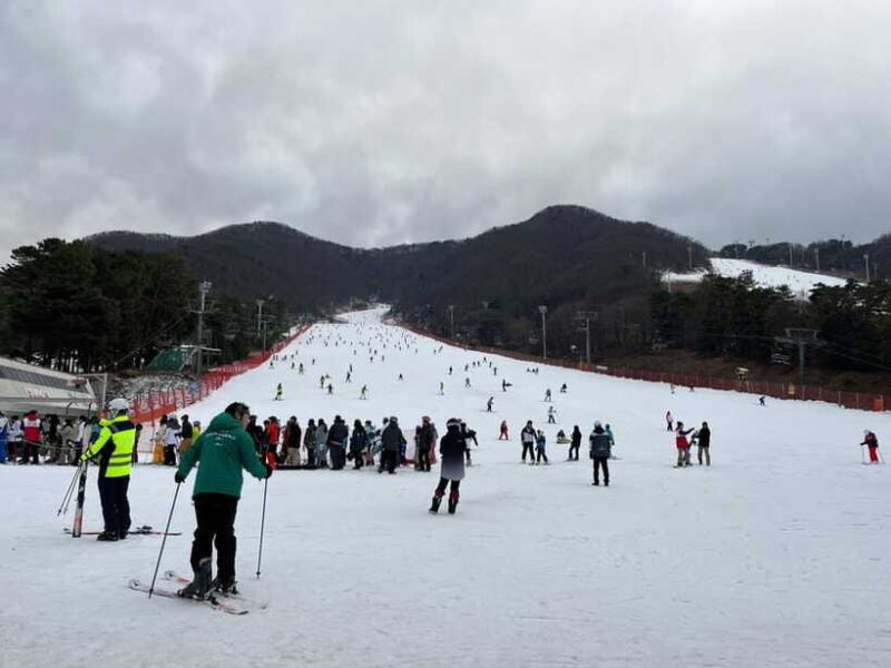 Jisan Forest Ski Resort One Day Tour - The Sum Up