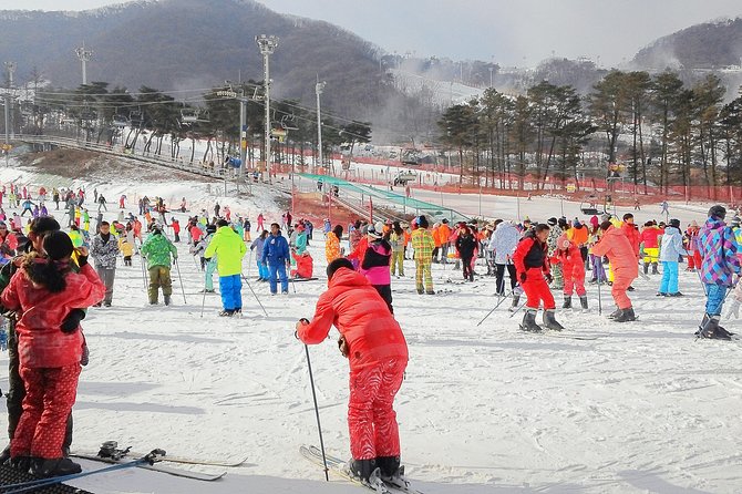 Jisan Ski Resort Serving Breakfast From Seoul (No Shopping) - Important Considerations