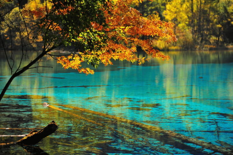 Jiuzhai Valley National ParkVisit Colorful Fairy Tale World - Authentic Experiences and Traveler Insights