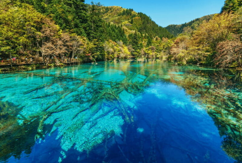 Jiuzhai Valley National ParkVisit Colorful Fairy Tale World - A Detailed Breakdown of the Experience