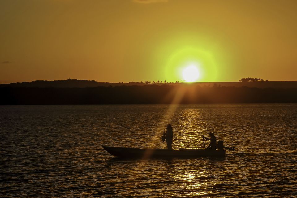 Joao Pessoa Northern Coast Beaches Day Tour - Customer Experiences and Feedback